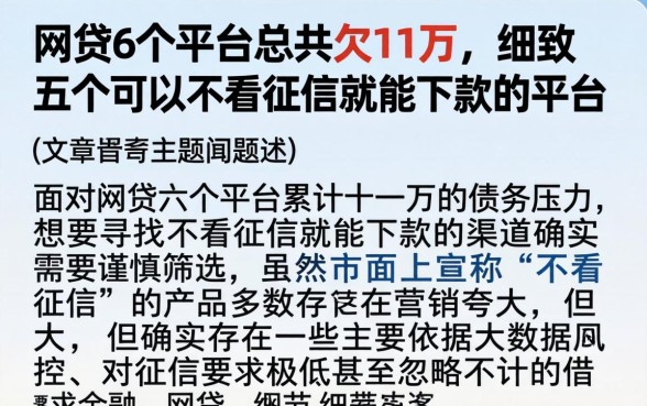 网贷6个平台总共欠11万，细致阐述五个可以不看征信就能下款的平台