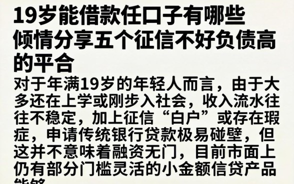 19岁能借款的口子有哪些，倾情分享五个征信不好负债高的平台