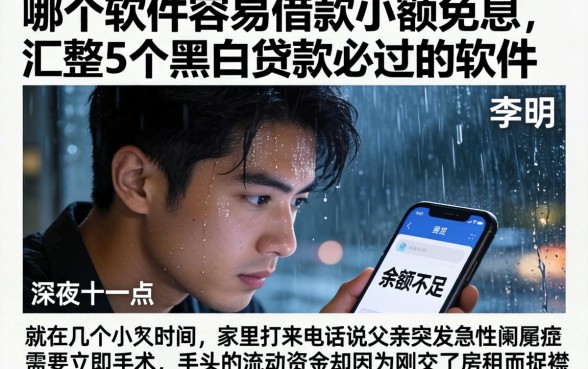 哪个软件容易借款小额免息，汇整5个黑白贷款必过的软件