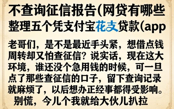 不查询征信报告的网贷有哪些，整理五个凭支付宝花呗贷款的app