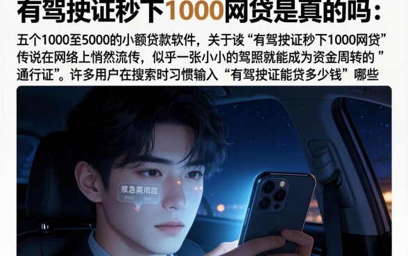有驾驶证秒下1000网贷是真的吗,详细阐述五个1000至5000的小额贷款软件