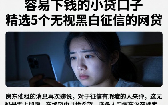容易下钱的小贷的口子，精选5个无视黑白征信的网贷
