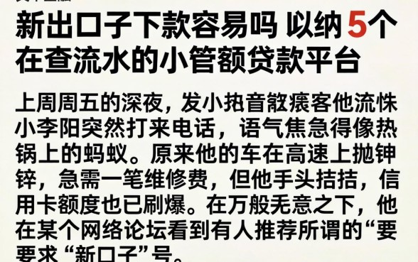 新出的口子下款容易吗,归纳5个不查流水的小额度贷款平台