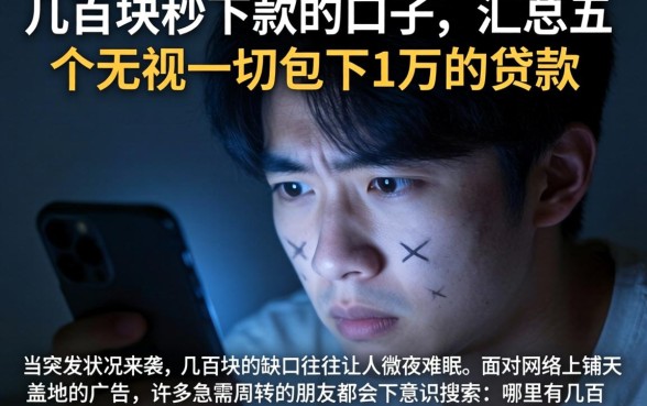 几百块秒下款的口子，汇总五个无视一切包下1万的贷款