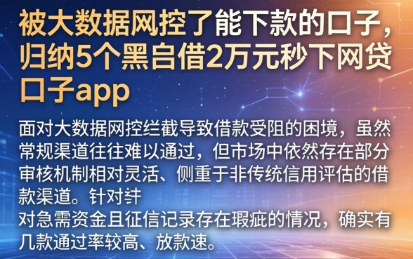 被大数据风控了能下款的口子，归纳5个黑户借2万元秒下网贷口子app