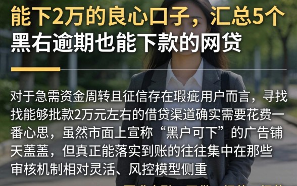 能下2万的良心口子，汇总5个黑户逾期也能下款的网贷