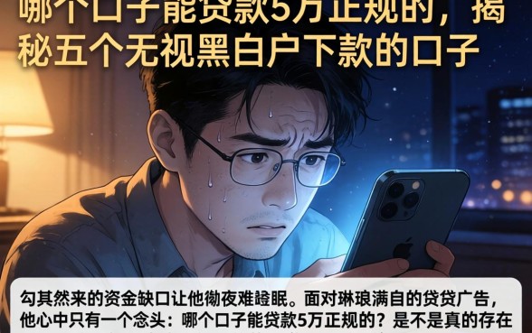 哪个口子能贷款5万正规的，揭秘五个无视黑白户下款的口子
