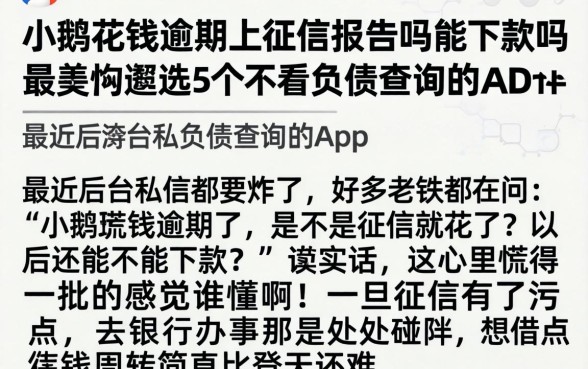 小鹅花钱逾期上征信报告吗能下款吗，遴选5个不看负债查询的app