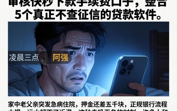 审核快秒下款手续费的口子,整合5个真正不查征信的贷款软件