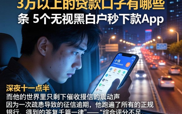3万以上的贷款口子有哪些,条列5个无视黑白户秒下款app