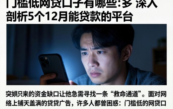 门槛低的网贷口子有哪些,深入剖析5个12月能贷款的平台