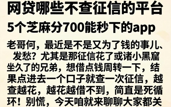 网贷哪些不查征信的平台，详细阐述5个芝麻分700能秒下的app