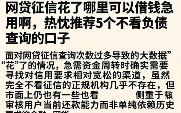 网贷征信花了哪里可以借钱急用啊,热忱推荐5个不看负债查询的口子