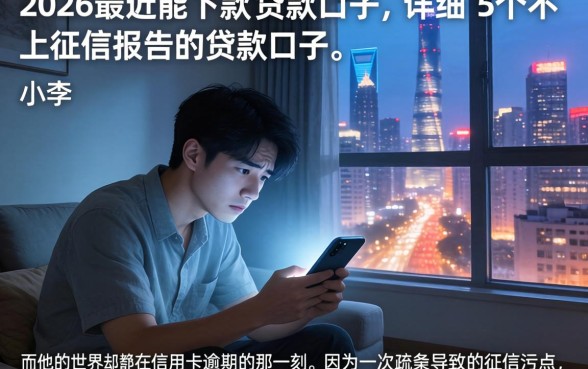 2026最近能下款的贷款口子，详细阐述5个不上征信报告的贷款口子
