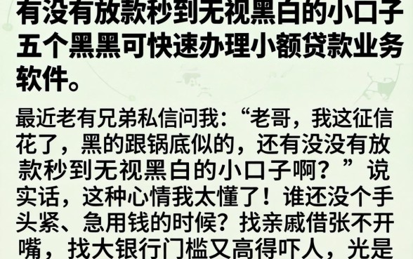 有没有放款秒到无视黑白的小口子,细致阐述五个黑户可快速办理小额贷款业务的软件