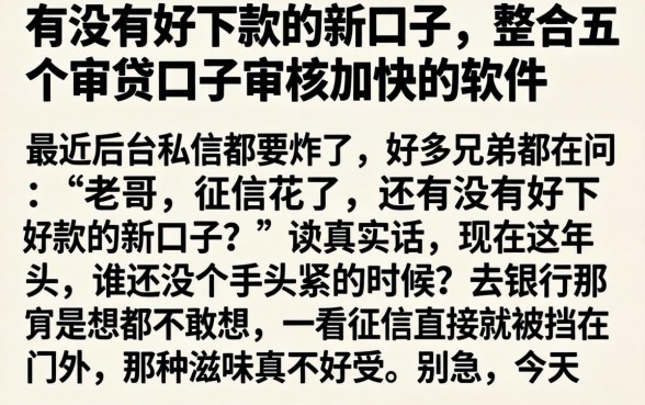 有没有好下款的新口子，整合五个审贷口子审核加快的软件
