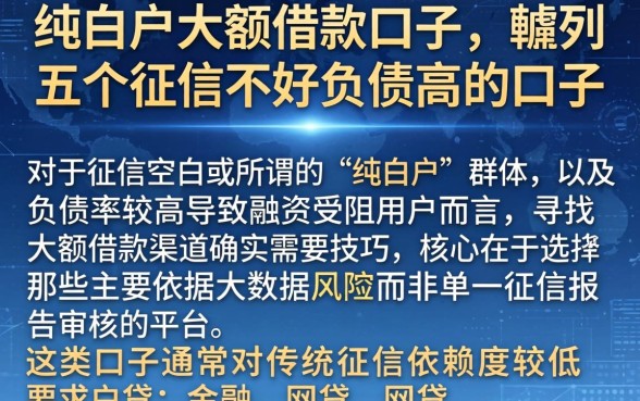 纯白户大额借款口子,胪列五个征信不好负债高的口子