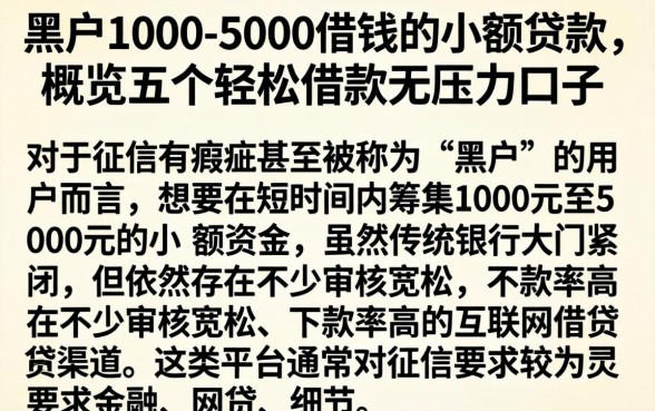 黑户1000-5000借钱的小额贷款，概览五个轻松借款无压力口子