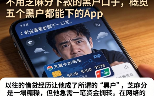 不用芝麻分下款的黑户口子，概览五个黑户都能下的app