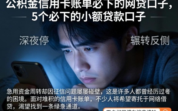 公积金信用卡账单必下的网贷口子，概括5个必下的小额贷款口子
