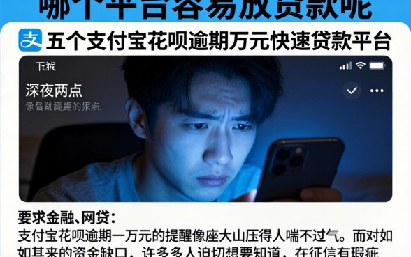 哪个平台容易放贷款呢，条列五个支付宝花呗逾期万元快速贷款平台