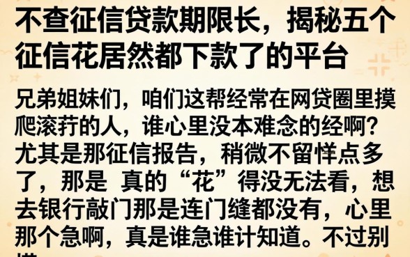 不查征信贷款期限长，揭秘五个征信花居然都下款了的平台