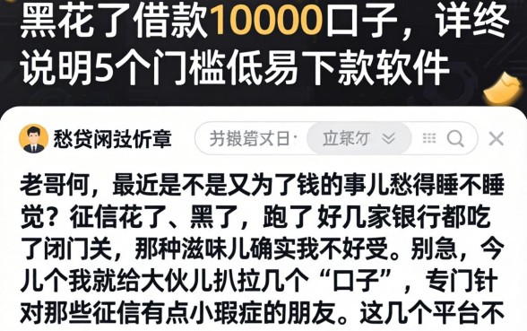黑花了借款10000口子，详尽说明5个门槛低易下款软件