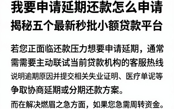 我要申请延期还款怎么申请,揭秘五个最新秒批小额贷款平台
