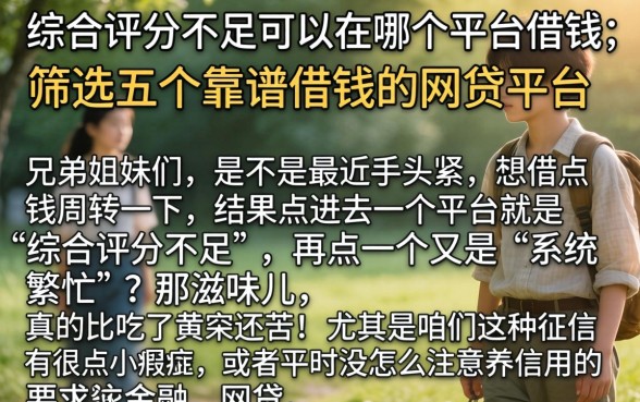 综合评分不足可以在哪个平台借钱，筛选五个靠谱借钱的网贷平台