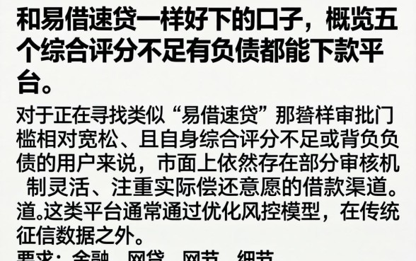 和易借速贷一样好下的口子，概览五个综合评分不足有负债都能下款平台