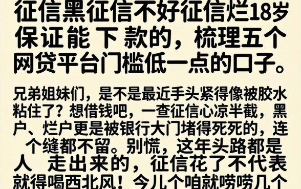 征信黑征信不好征信烂18岁保证能下款的，梳理五个网贷平台门槛低一点的口子