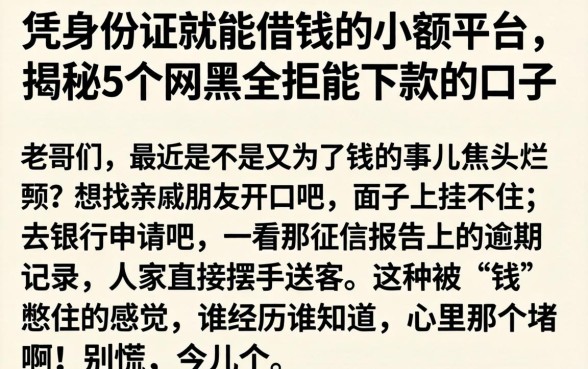 凭身份证就能借钱的小额平台，揭秘5个网黑全拒能下款的口子