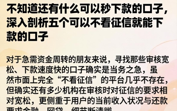 不知道还有什么可以秒下款的口子，深入剖析五个可以不看征信就能下款的口子