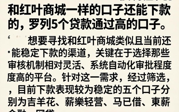 和红叶商城一样的口子还能下款的，罗列5个贷款通过高的口子