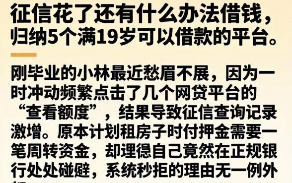 征信花了还有什么办法借钱，归纳5个满19岁可以借款的平台