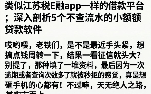 类似江苏税e融app一样的借款平台，深入剖析5个不查流水的小额度贷款软件