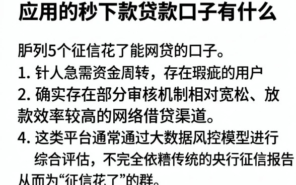 应用的秒下款贷款口子有什么,胪列5个征信花了能网贷的口子