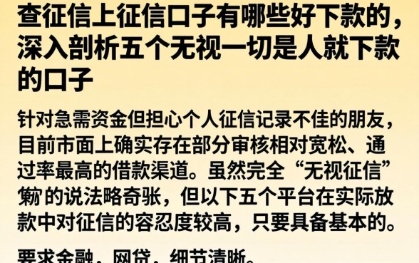 查征信上征信口子有哪些好下款的，深入剖析五个无视一切是人就下款的口子