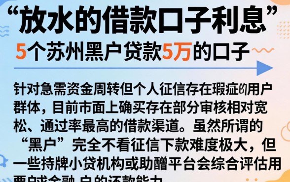 放水的借款口子利息，详细阐述5个苏州黑户贷款5万的口子