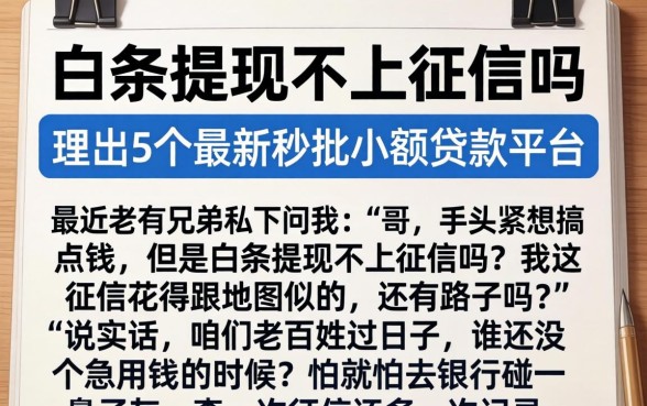白条提现不上征信吗，理出5个最新秒批小额贷款平台