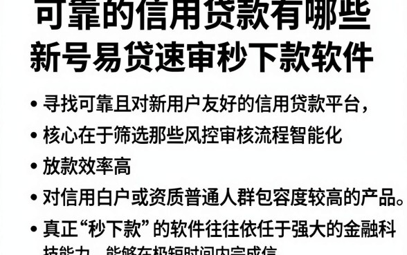 可靠的信用贷款有哪些,规整五个新号易贷速审秒下款软件