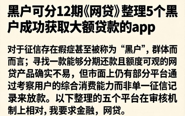 黑户可分12期的网贷，整理5个黑户成功获取大额贷款的app