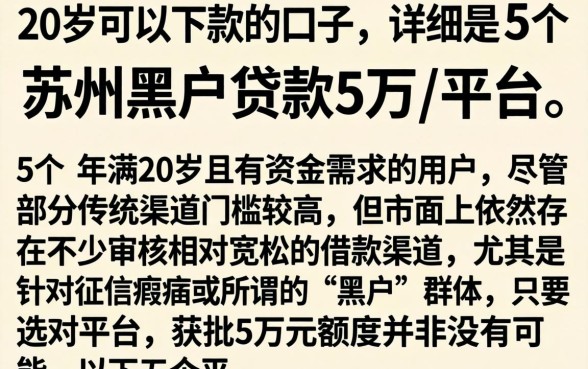 20岁可以下款的口子，详细阐述5个苏州黑户贷款5万的平台