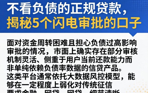 不看负债的正规贷款,揭秘5个闪电审批的口子