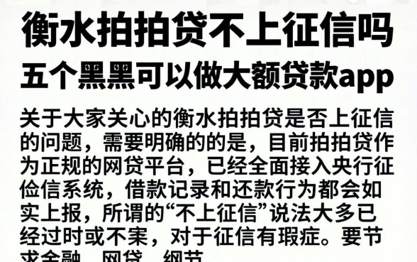 衡水拍拍贷不上征信吗,详细阐述五个黑户可以做大额贷款app