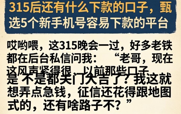 315后还有什么下款的口子,甄选5个新手机号容易下款的平台