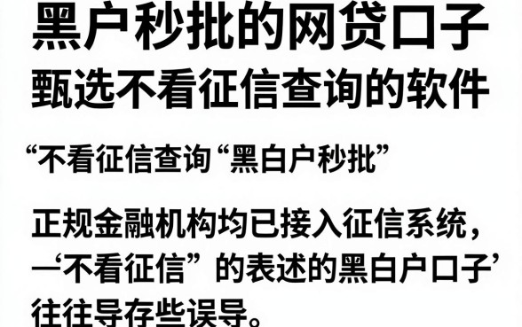 黑白户秒批的网贷口子,甄选五个不看征信查询的软件