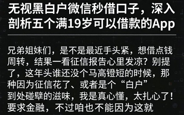 无视黑白户微信秒借口子,深入剖析五个满19岁可以借款的app
