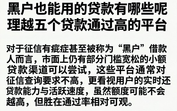 黑户也能用的贷款有哪些呢，理出五个贷款通过高的平台