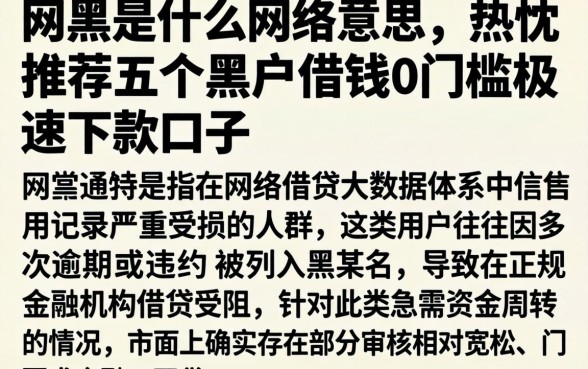 网黑是什么网络意思，热忱推荐五个黑户借钱0门槛极速下款口子